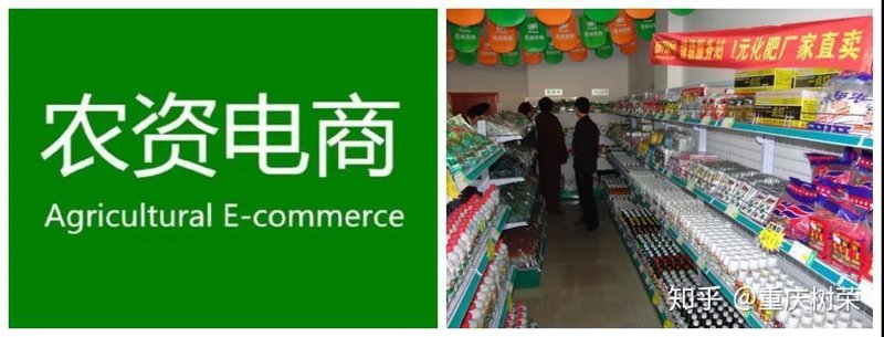种子批发:农业发展的幕后英雄